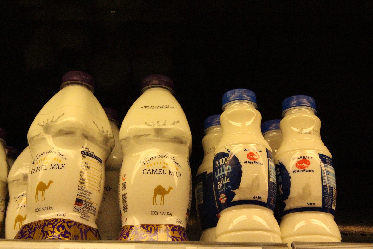 在杜拜超市，很容易可以買到稀有的駱駝奶，一小瓶約30元台幣。