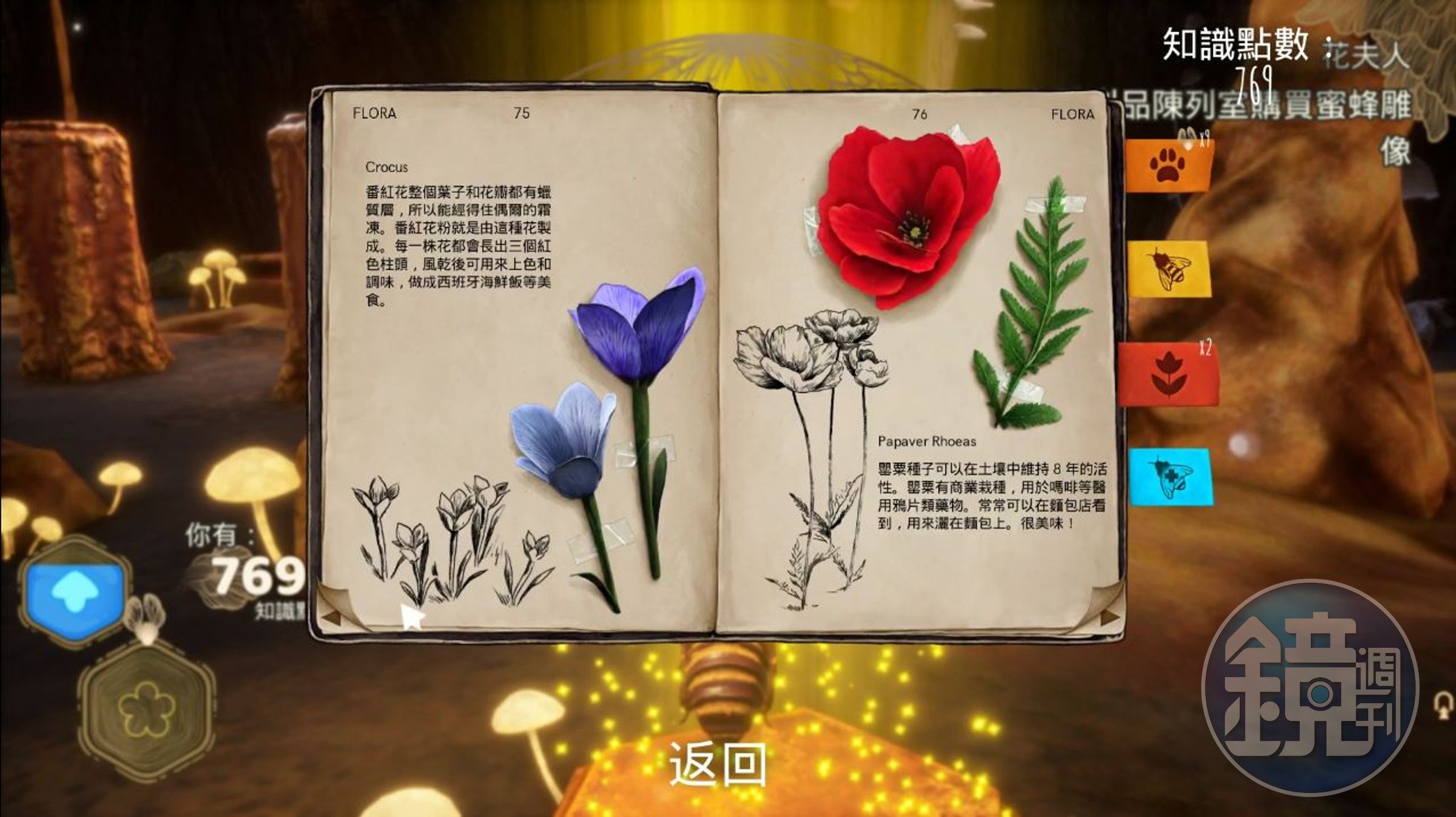 除了蜜蜂之外，也有其他大自然的知識（圖片來源：遊戲實機畫面）