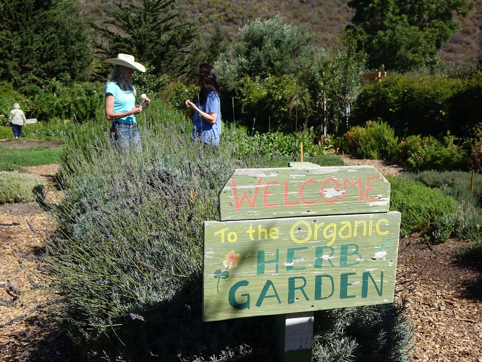 《農村的遠見》赴美國舊金山，紀錄當地居民如何務農，並藉此讓生活變得有機又快樂。（公視提供）
