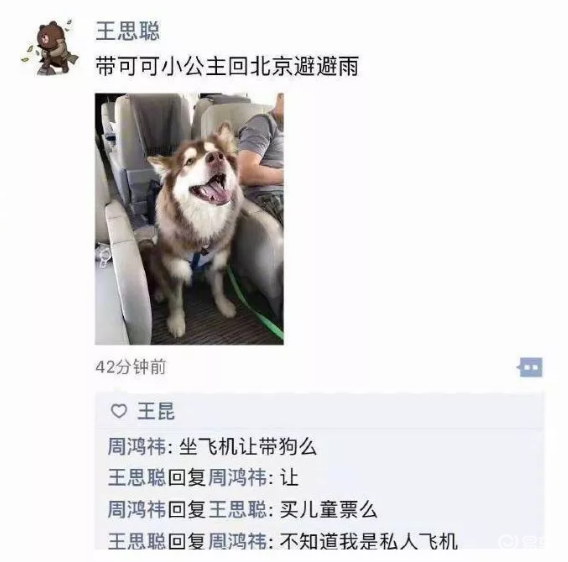 王思聰曾經在個人社群貼出狗狗搭飛機的照片，並強調是私人飛機。（翻攝微博）