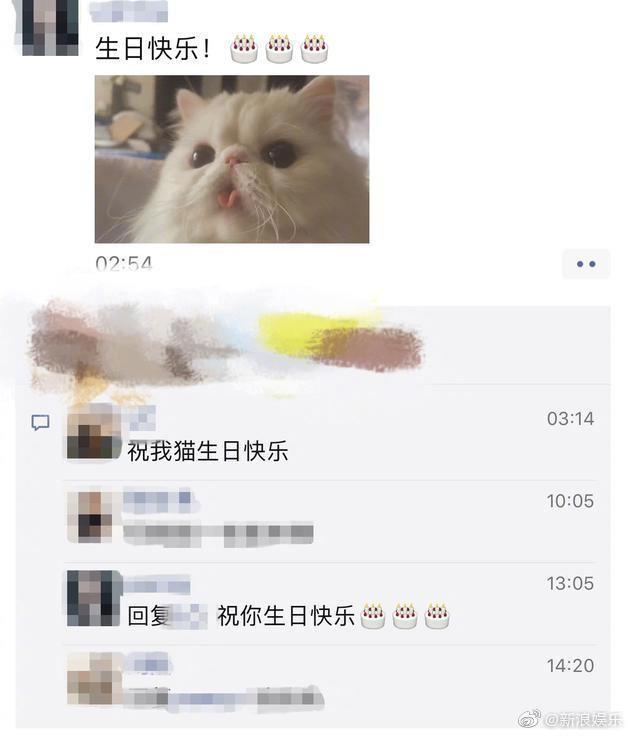 范冰冰的愛貓之一「小白妹妹」恰巧與前男友李晨同一天生日。（圖/翻攝自微博）
