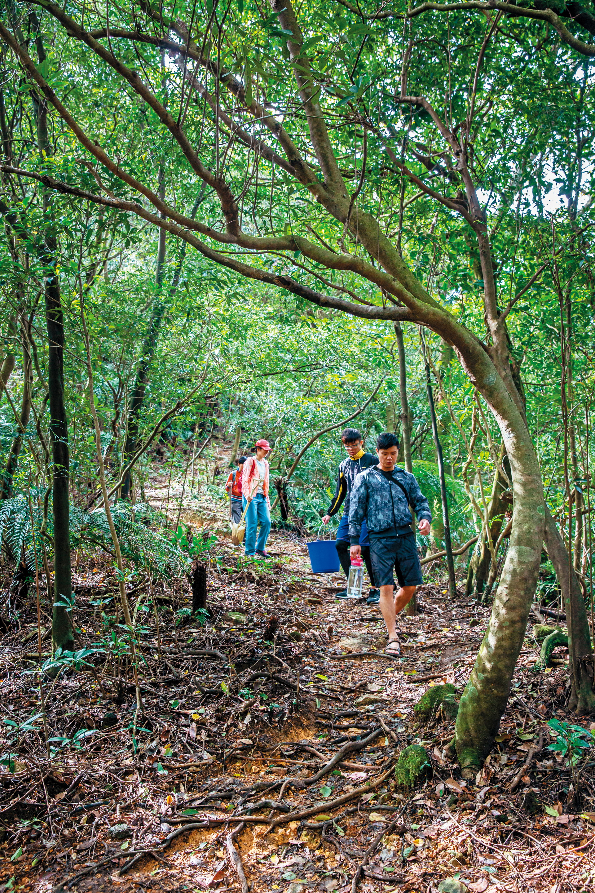 通往下七股野溪溫泉的道路是條原始路徑，穿上防滑的鞋子較為適合。