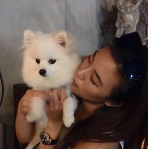 Bella常在IG中曬出高以翔愛犬。(翻攝Bella IG)