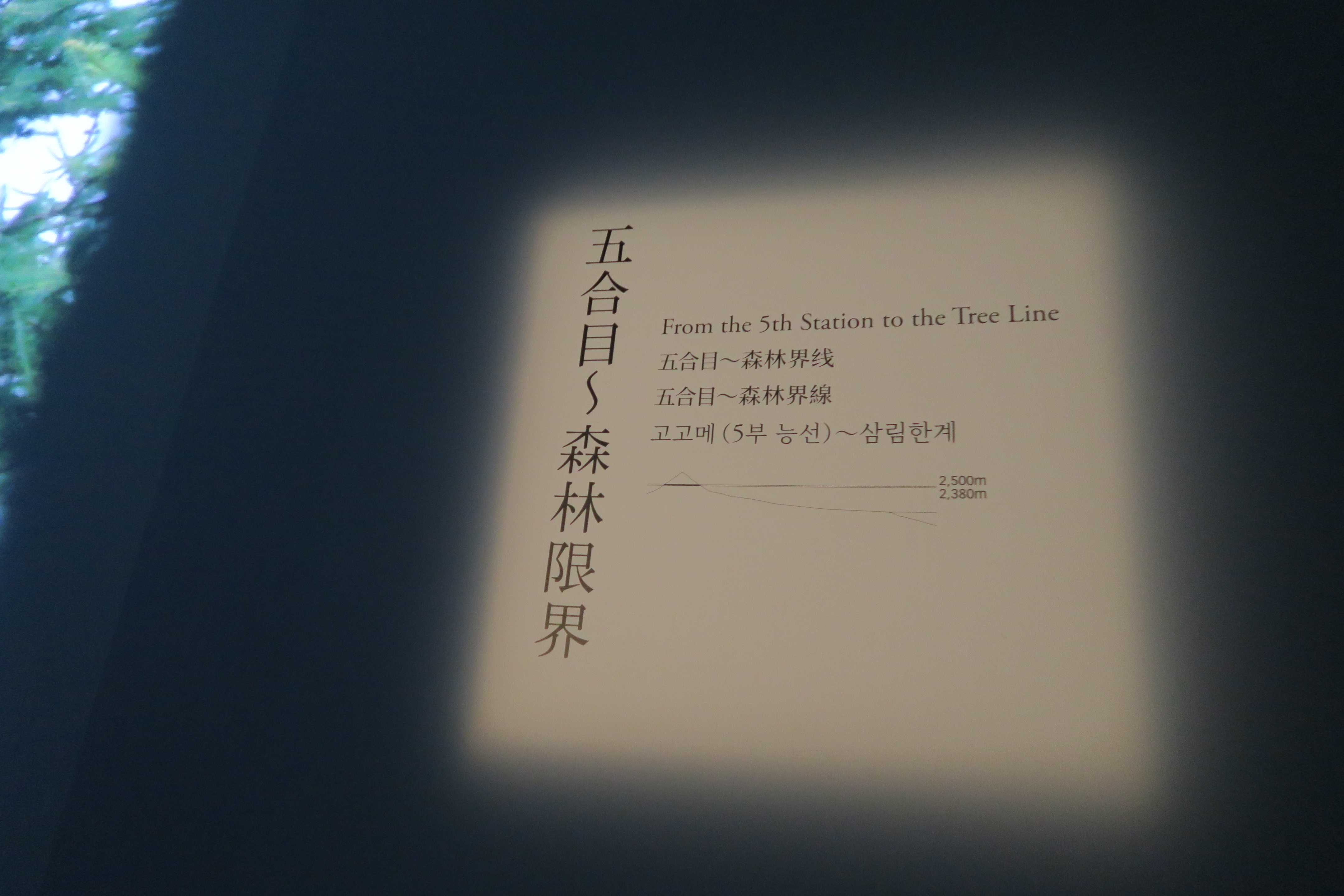 此處標示富士山五合目以上與森林的界限。