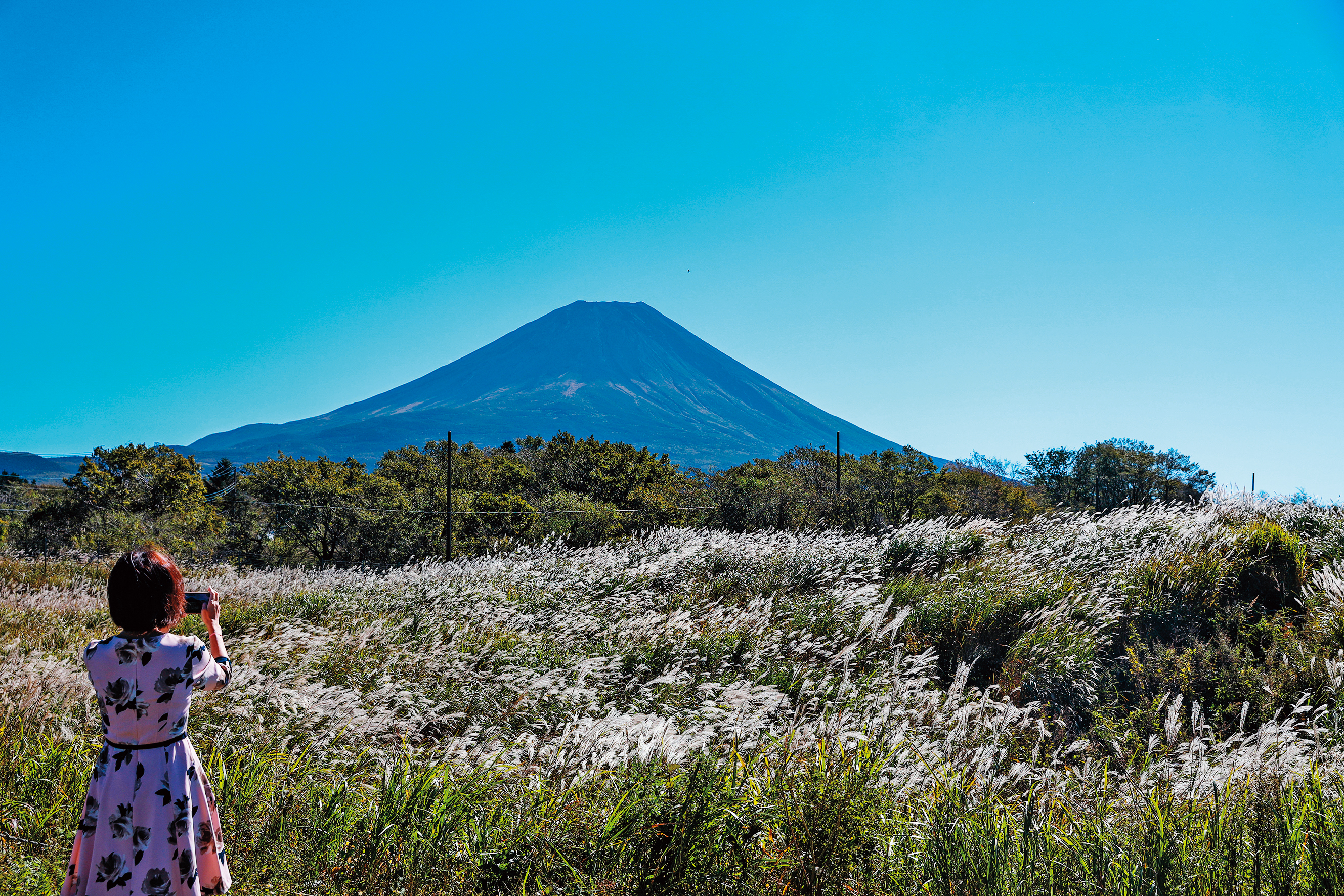 秋颱剛過，天空中一絲雲都沒有，在靜岡的公路旁，可看到富士山最乾淨的線條樣貌。