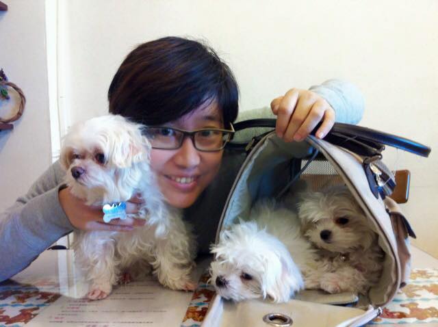 檢警調查，發現PTT帶輿論風向帳號和「卡神」楊蕙如PTT帳號發文IP一致。（翻攝楊蕙如臉書）