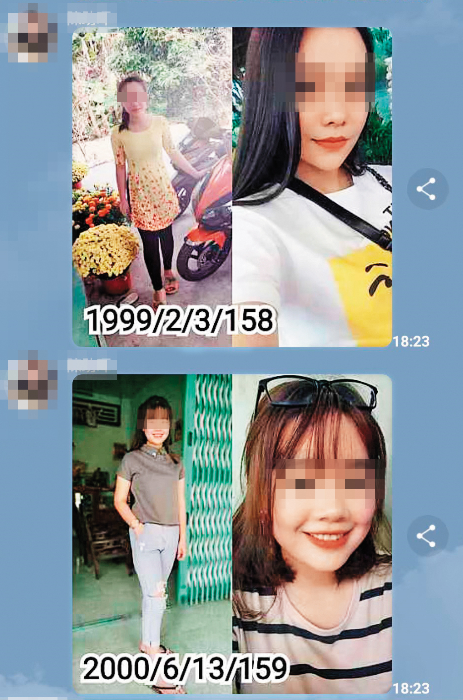 婚媒集團在群組大量PO出越南女子照片,把對方當成直銷商品。(翻攝畫面)