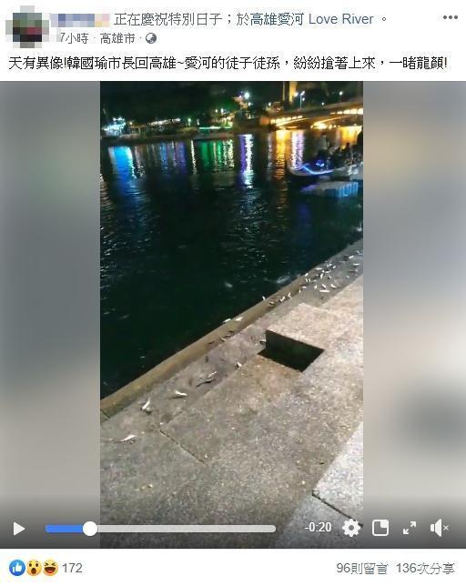 韓粉在愛河拍下一段魚跳上岸邊的影片。(翻攝自臉書)