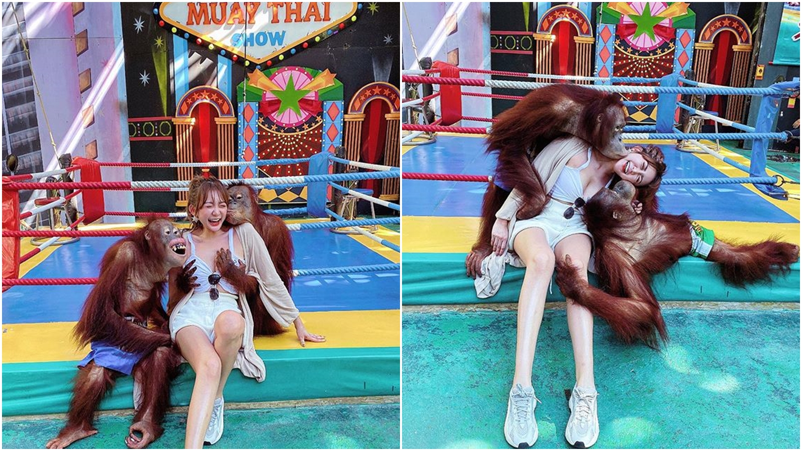 網路上近日傳出一組「猩抓妹」被猩猩強揉乳、強吻的照片，引起熱議。（翻攝wendywenbaby IG）