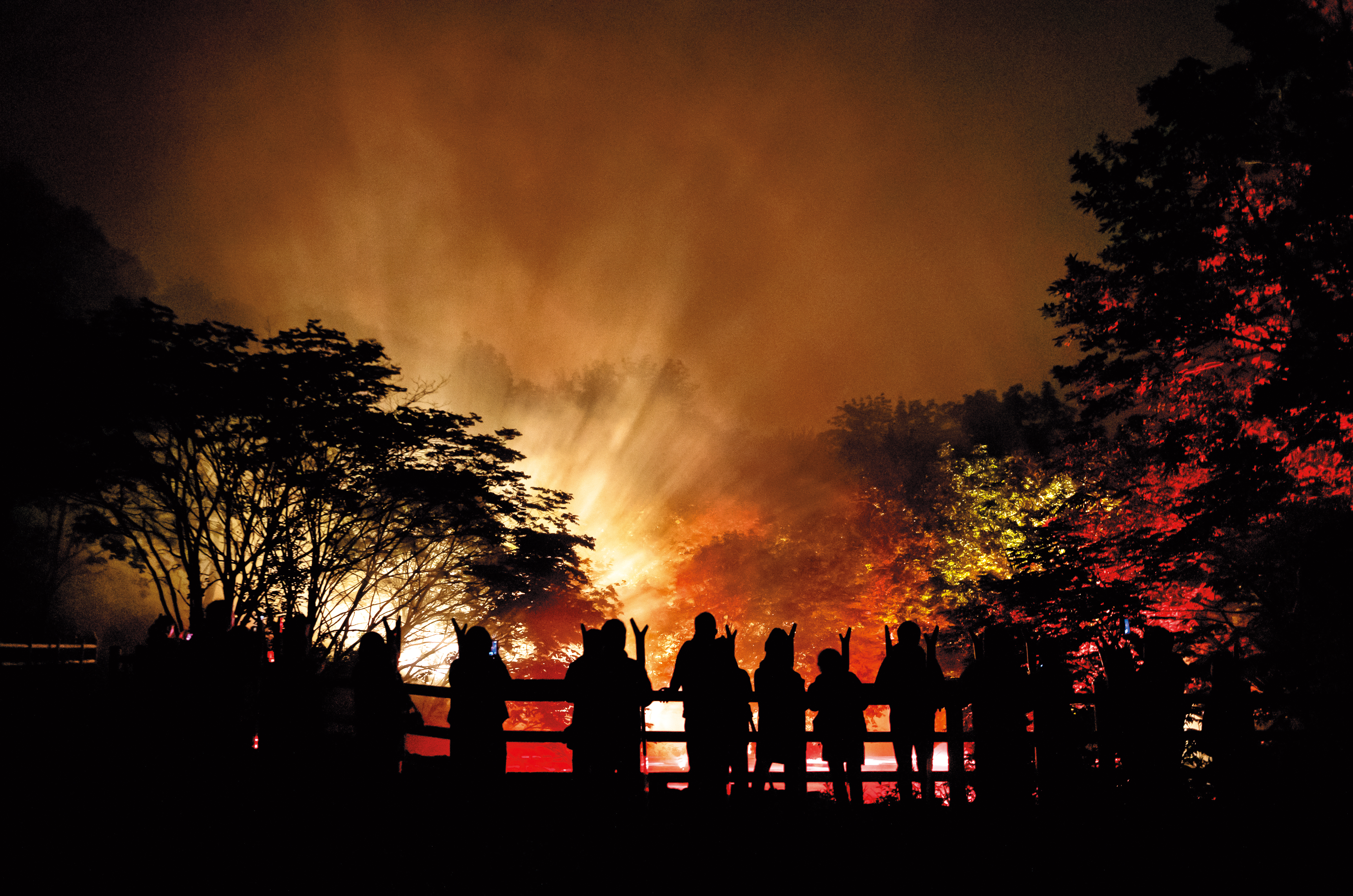 位於日本北海道阿寒湖森林的魔幻聲光展「夜遊卡穆伊」，讓民眾宛如置身古老的神話國度。（Moment Factory提供）