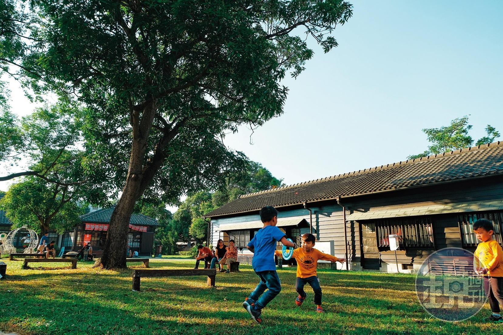 「檜意森活村」園區草坪,假日成了親子客最愛的休憩場所。