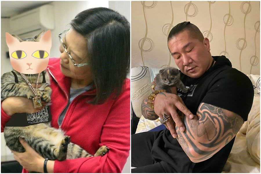 新晉「貓奴」館長也公開換臉書大頭貼力挺總統蔡英文連任。（翻攝飆捍臉書）