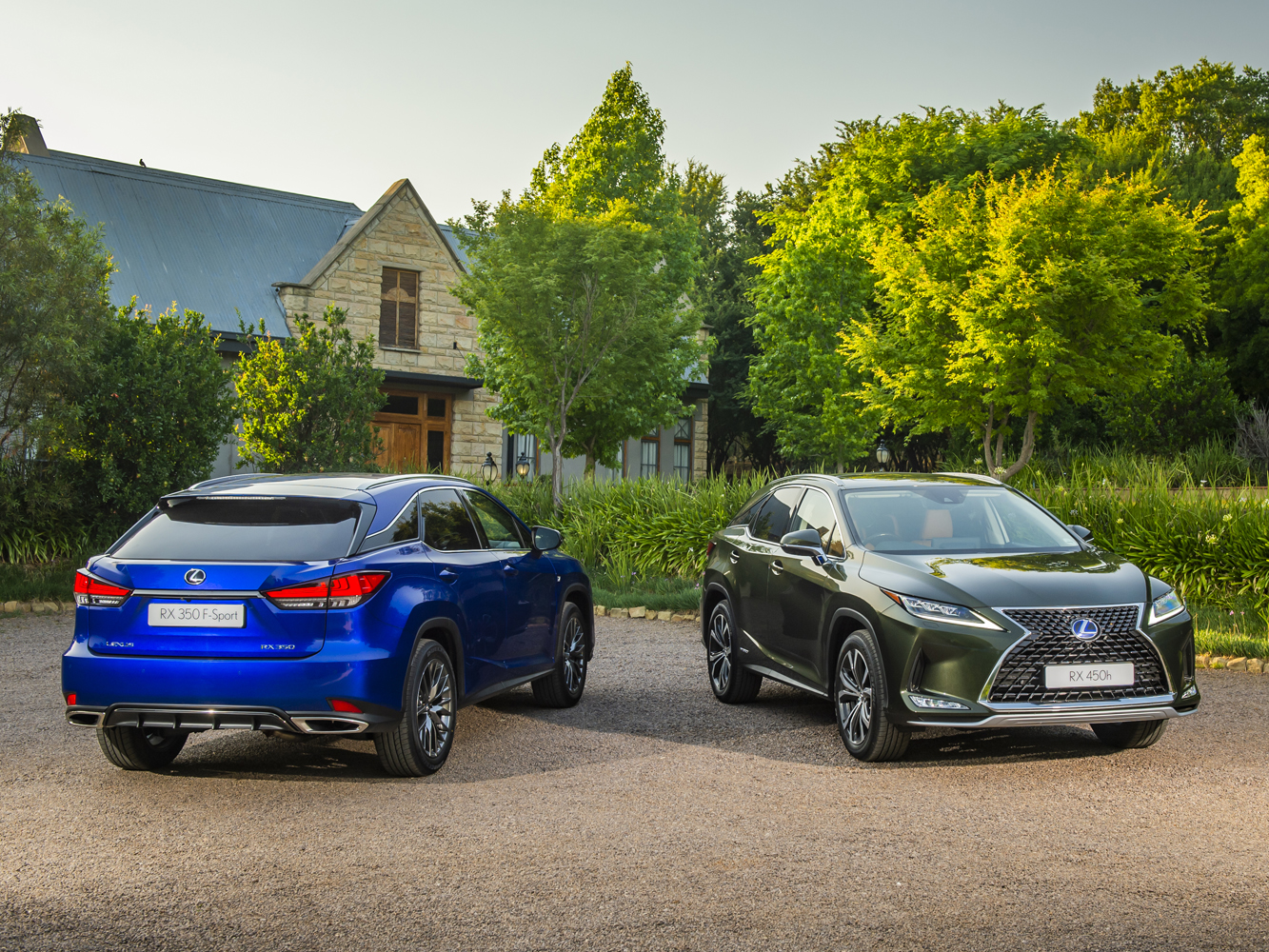 【2019年度風雲車-09】進口休旅最夯！LEXUS RX            