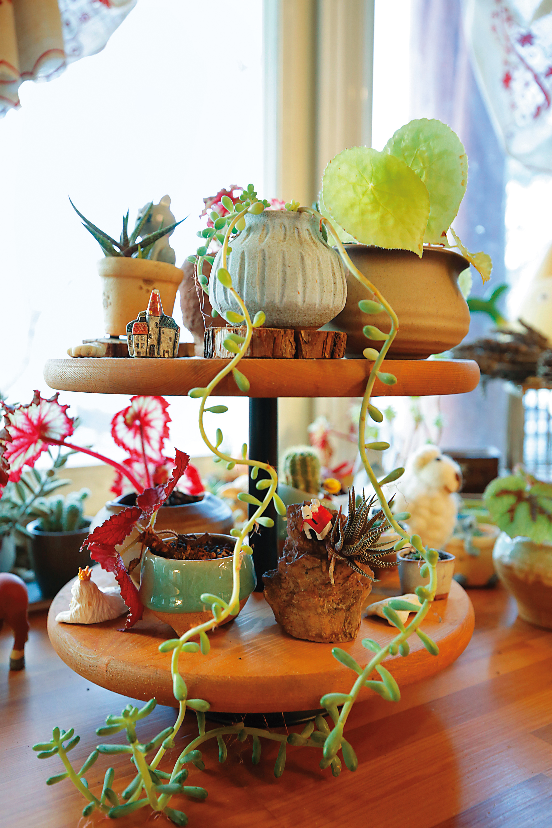 屋內的綠色植栽,增添屋內溫暖陽光的一面。