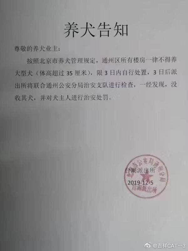 中國北京市頒布「限狗令」,要求飼養體型超過35公分的大型犬的飼主,要在3日內自行處置犬隻。(翻攝自綠黨臉書)