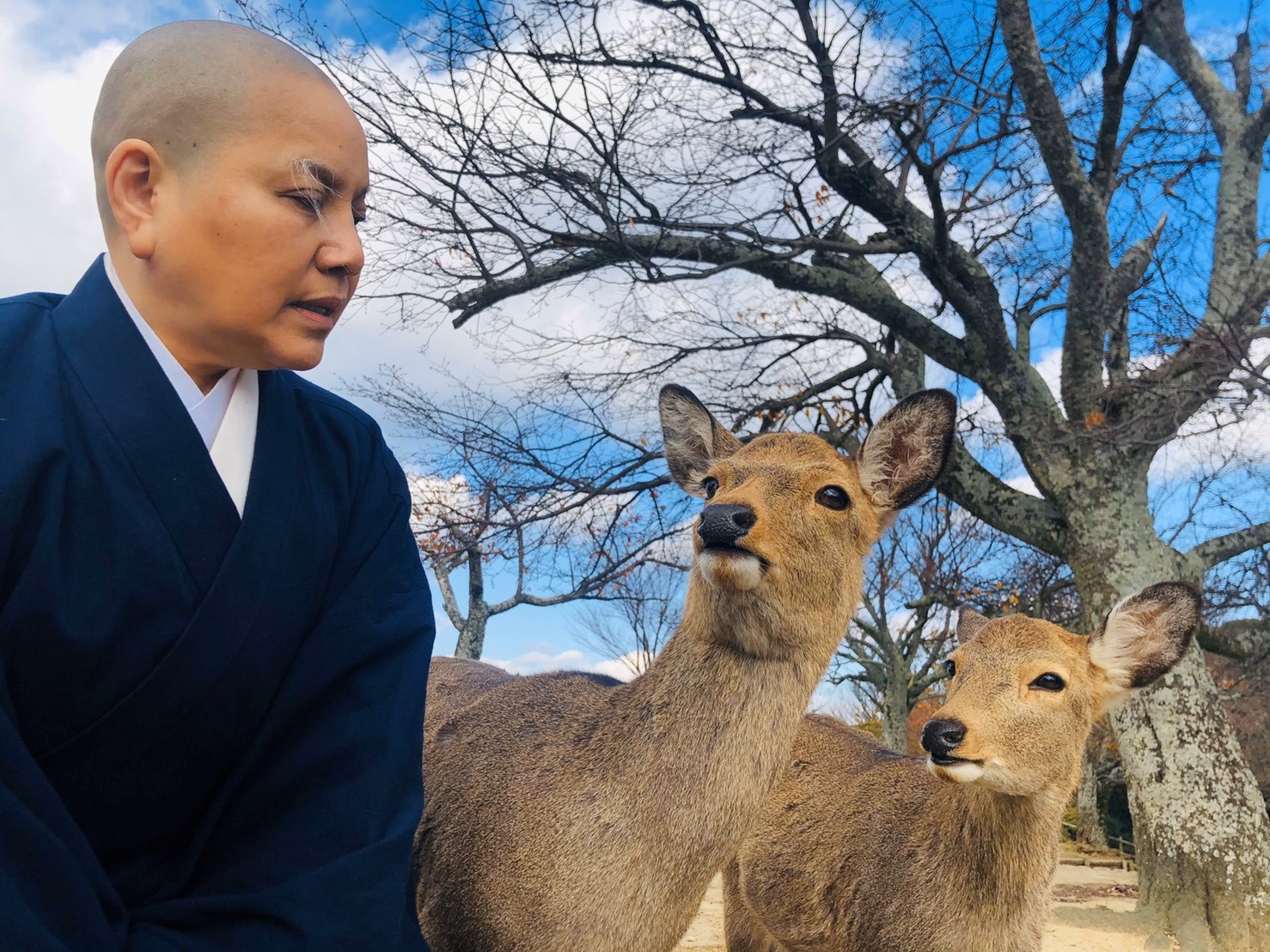 唐美雲走到哪奈良鹿就跟到哪，索性就跟奈良鹿玩起自拍。（民視提供）