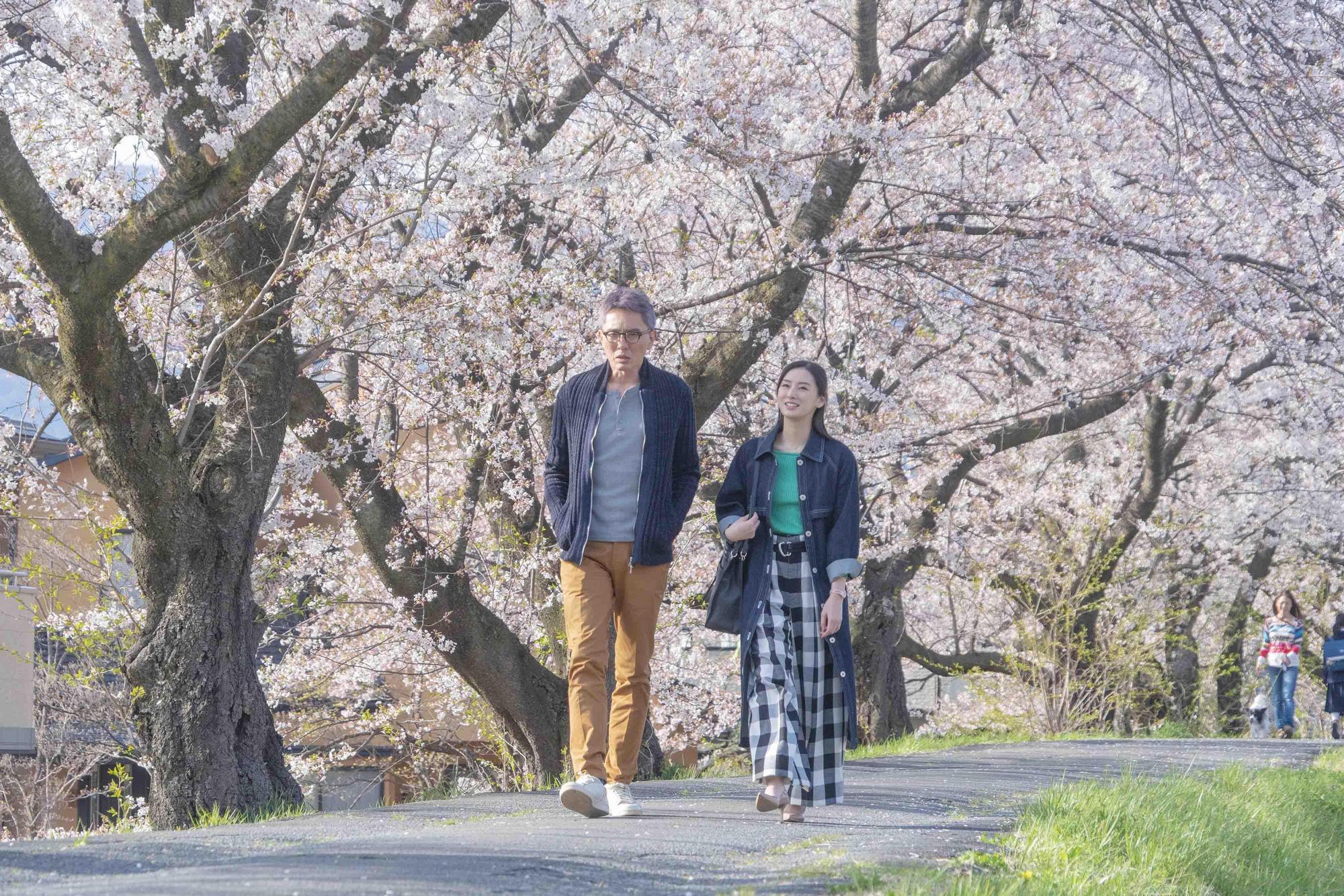 電影《添好孕》以「男性不孕」為主題,由松重豐與北川景子主演。(天馬行空提供)