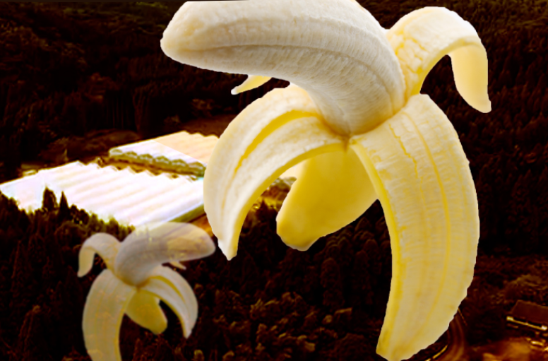 九州鹿兒島縣產的「神香蕉」（神バナナ），價格較一般進口香蕉高，且標榜對水、土地、製程相當講究。（圖片來源：神香蕉官網）