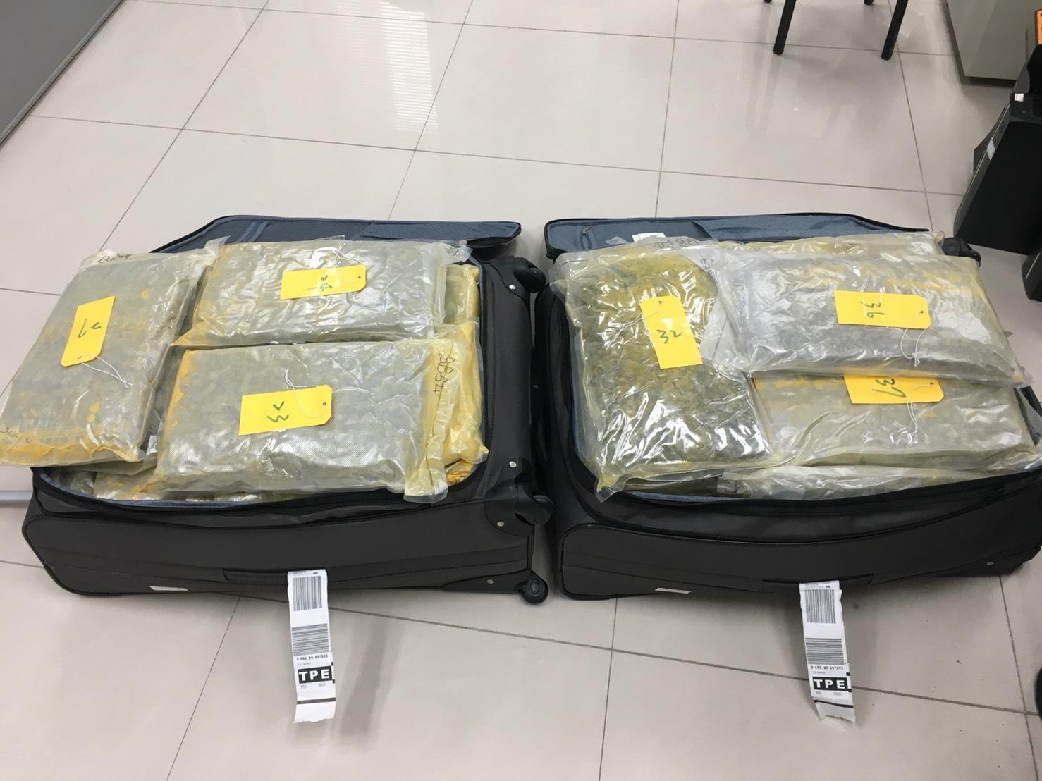 邱嫌僱用的車手曾用行李箱夾帶大麻被警方逮捕。(翻攝畫面)
