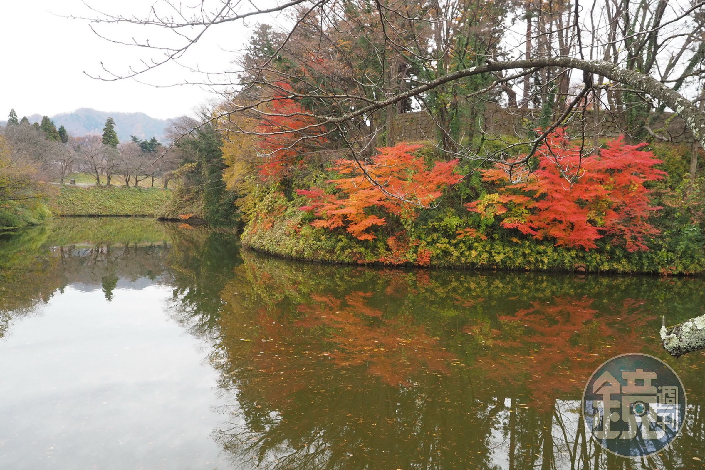 護城河上紅葉飄零。