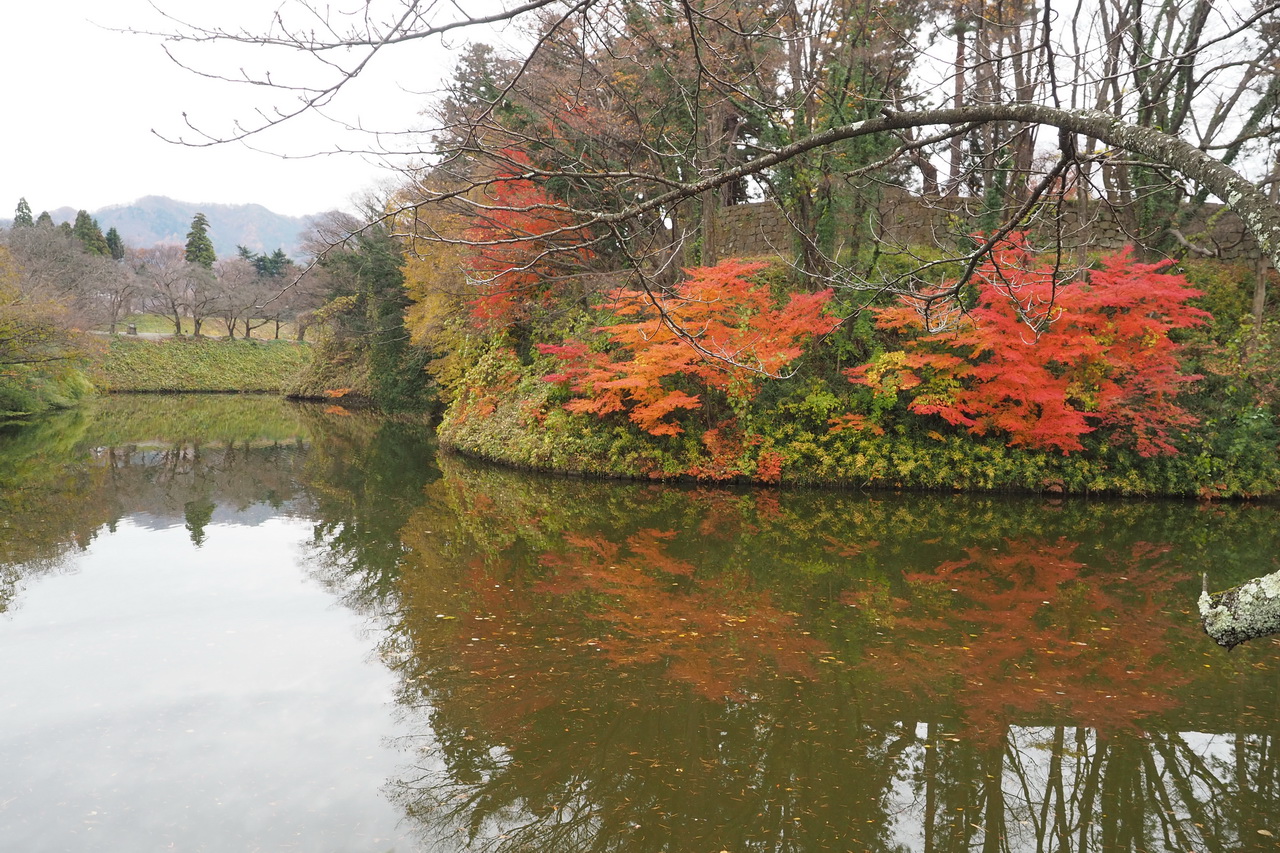 護城河上紅葉飄零。