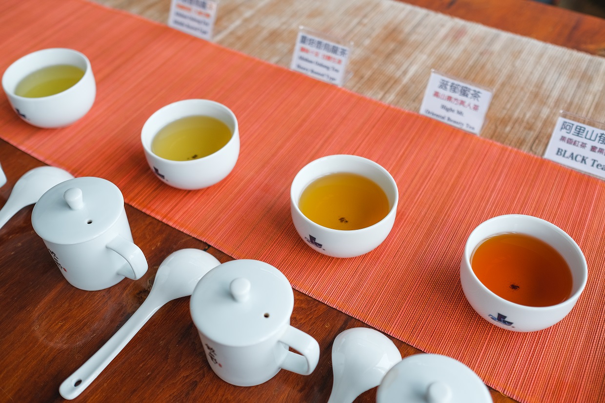 透過「品評體驗」，讓一般人更了解阿里山茶的豐富滋味。