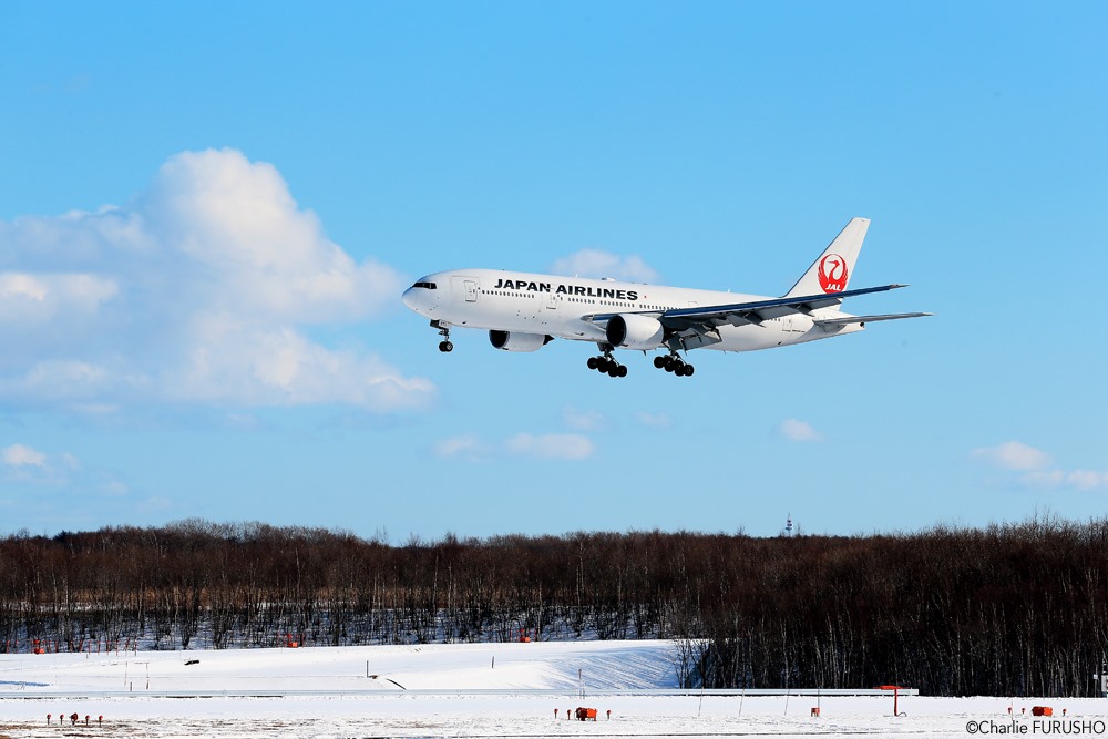 日本航空將免費提供5萬張的日本國內線來回機票給日航哩程會員（JMB）。（翻攝自日本航空臉書）