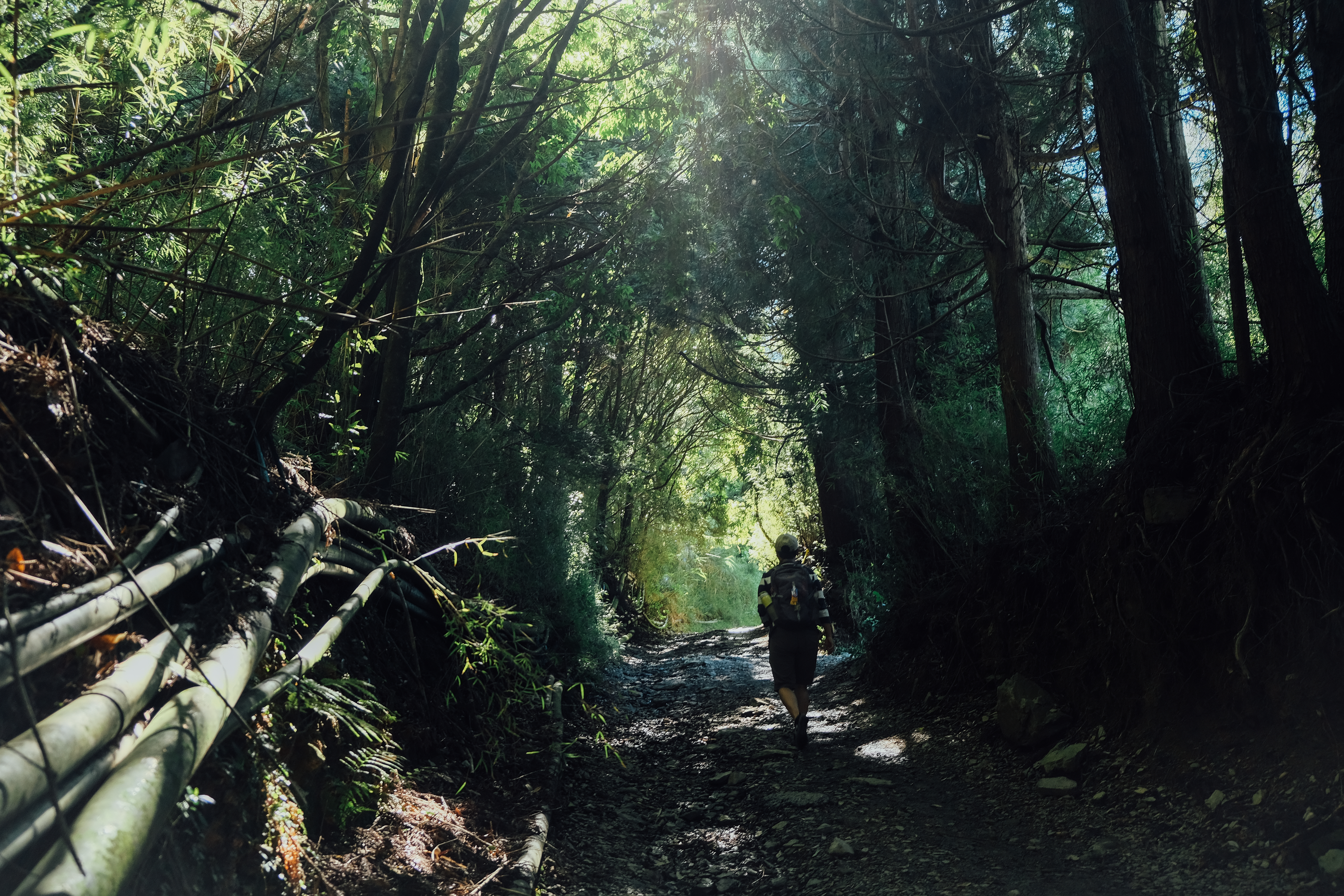 南投的合歡溪步道，也是電影《賽德克巴萊》取景的地方。