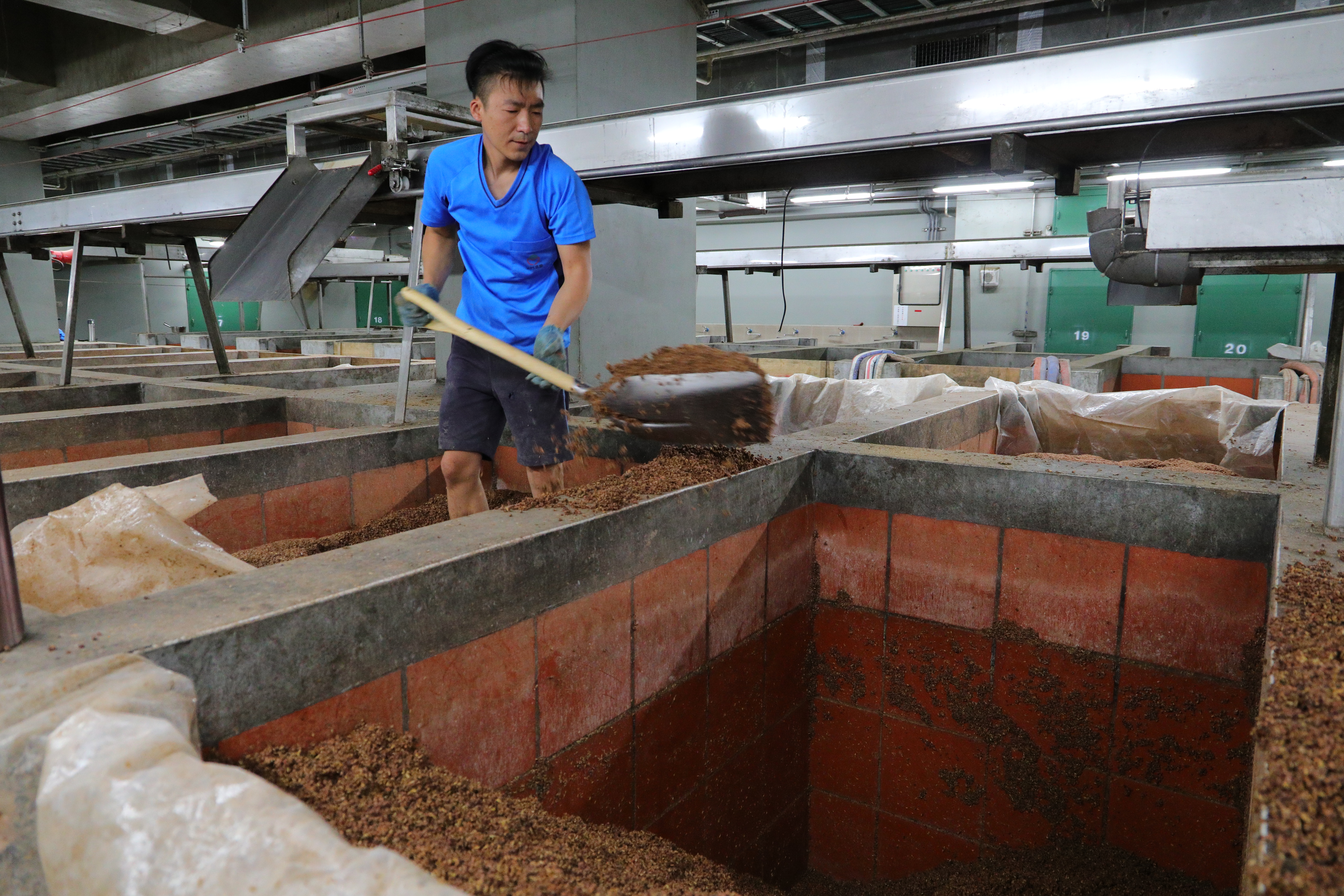 酒醪在多孔隙的紅磚槽池內低溫發酵，長年發展出的獨特菌相讓金城廠的酒格外優質。