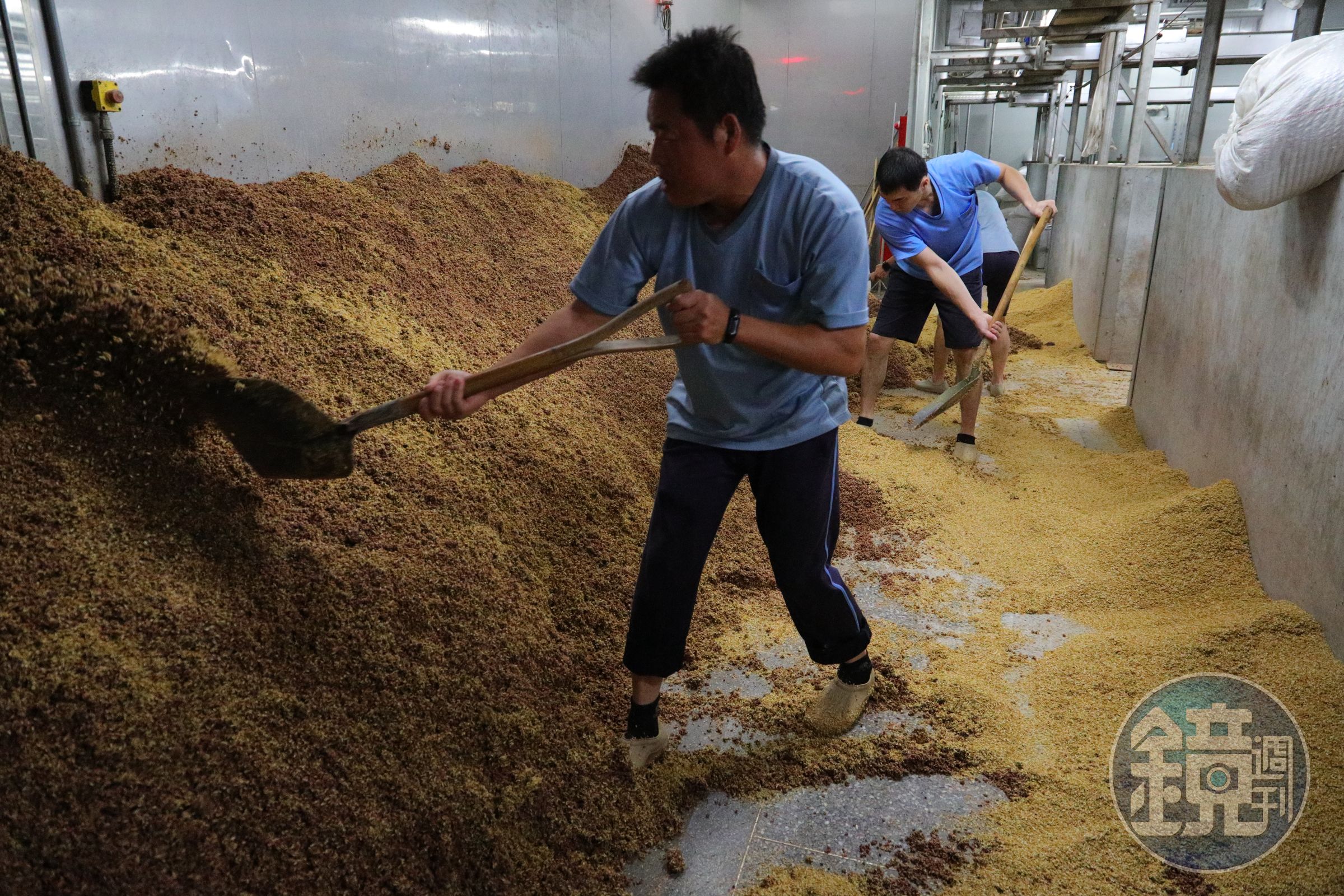 由於金門高粱酒採不打碎原料的整粒固態發酵，經過一次蒸餾後，酒醪還要二次翻堆發酵，以提高出酒率。