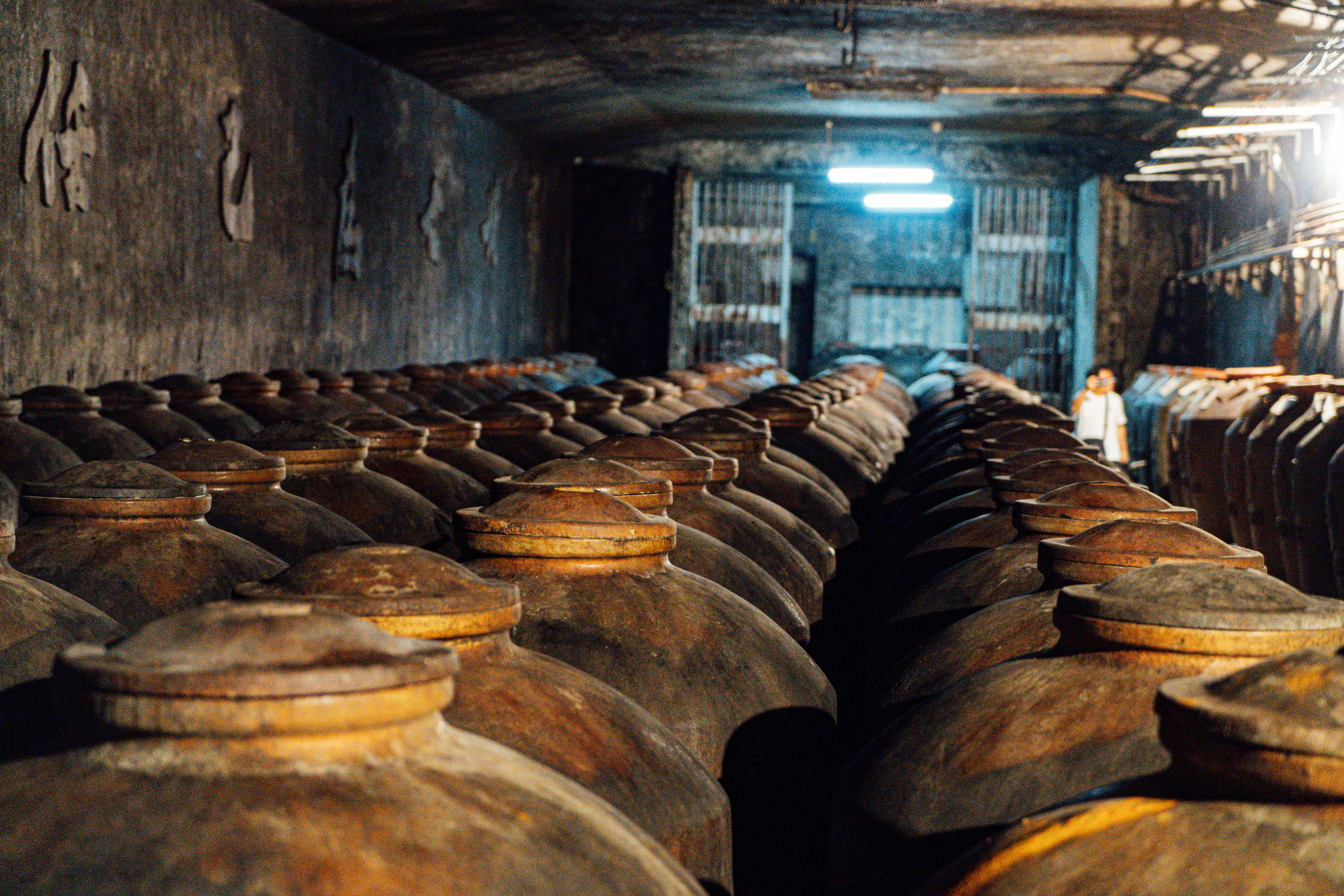 「光華園」坑道曾是軍用氫氣倉庫，陶罈一字排開有如閱兵般壯觀。