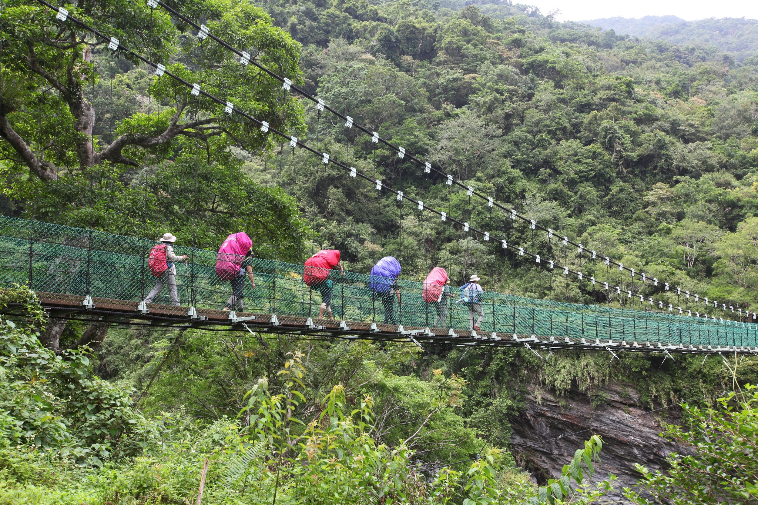 麥覺明耗時11年、率領攝影團隊翻山越嶺拍攝《黑熊來了》。（大麥影像傳播工作室提供）