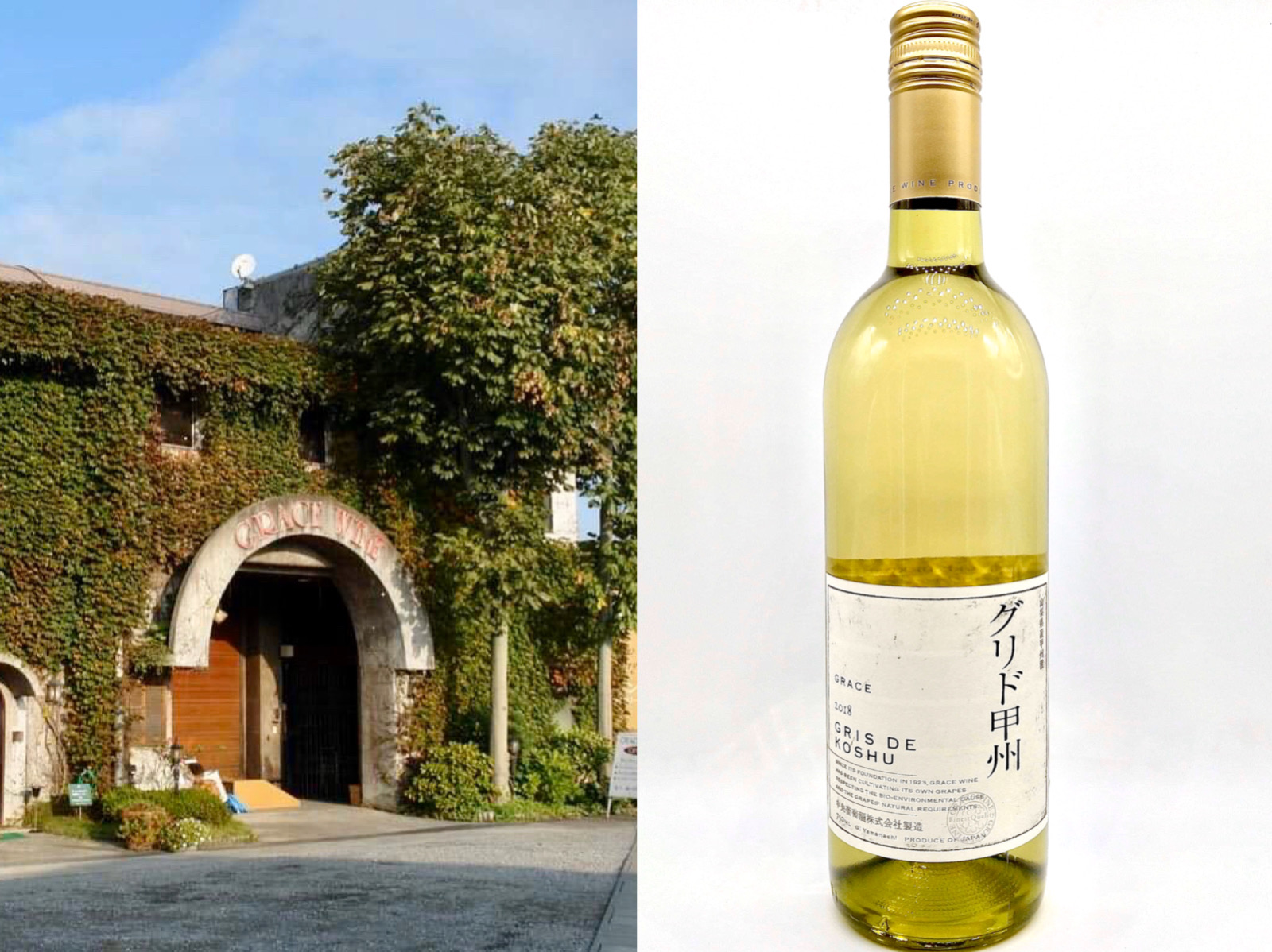 木村拓哉所主演的秋季日劇《Grand Maison 東京》中使用的夢幻白酒來自山梨縣的葛蕾絲酒莊。