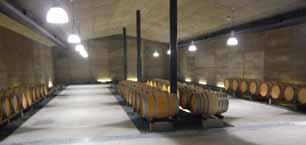 三澤葡萄園的地下酒窖空間,對照劇照一模一樣。(翻攝自Grace Wine官網)