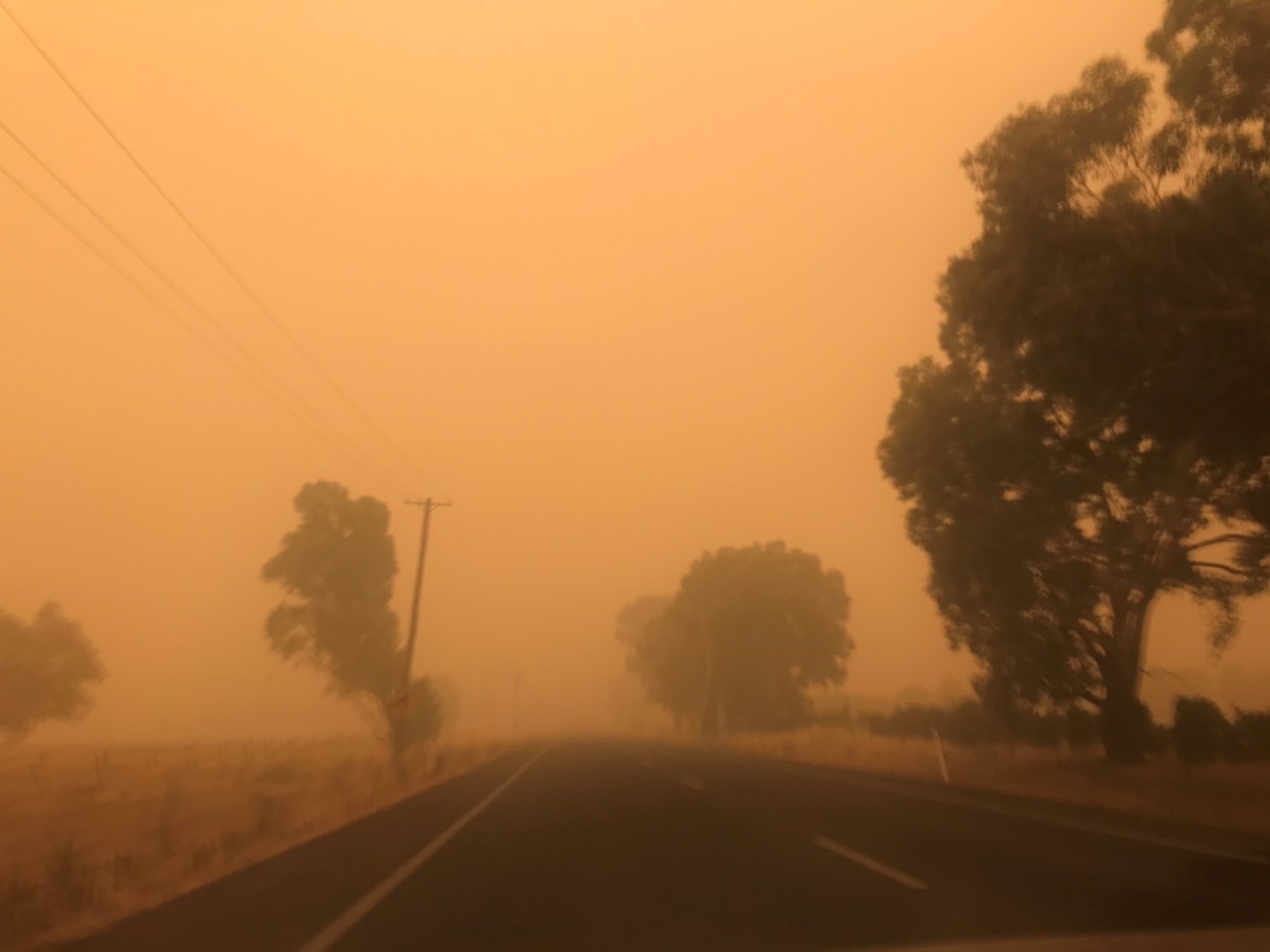整個澳洲天空已經變成橘色一片，空氣污染嚴重。（讀者提供）
