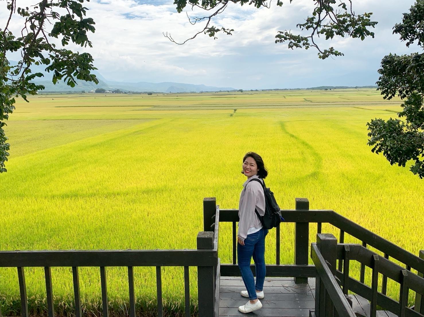 沿途經過美食名店「榕樹下米苔目」,最讓石井難忘。(文化總會提供)
