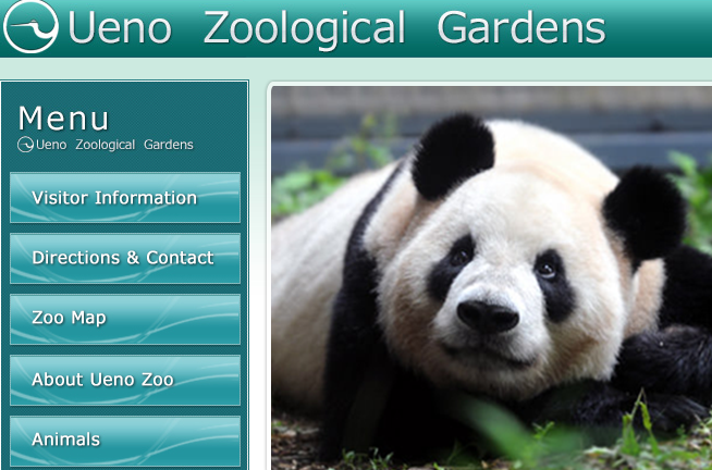 成功在東京上野動物園繁殖出生貓熊的「香香」，本該在今年6月2歲生日時歸還中國，卻因為太受歡迎，經東京都跟中國爭取，讓租約延長到2020年底。（翻攝自上野動物園官網）