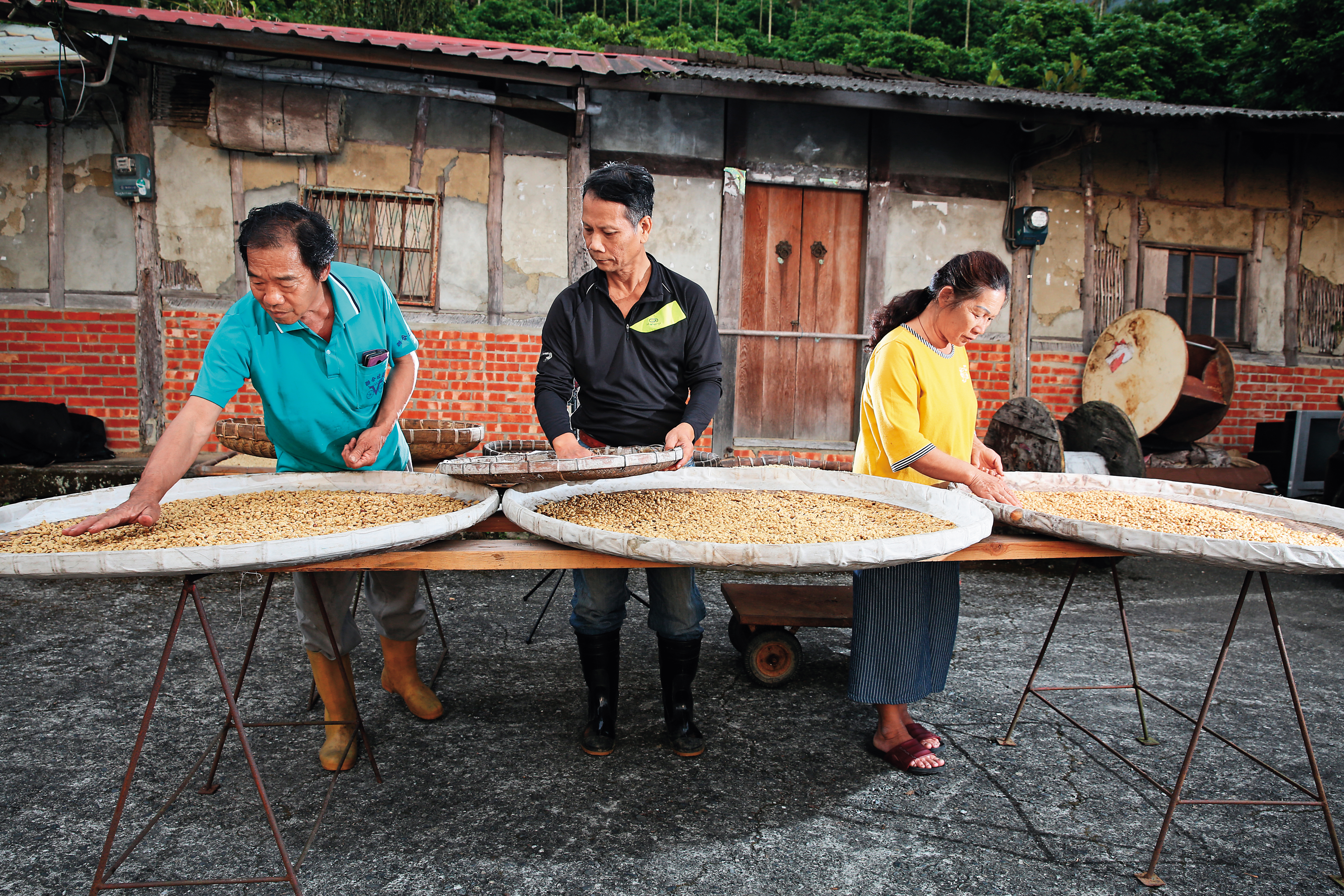 助王中和（中）拿下冠軍的咖啡豆，出自表舅（左）、表舅媽陳瑩如（右）的咖啡園。