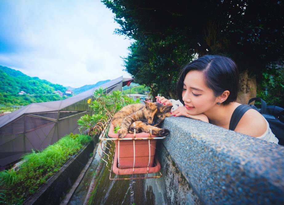 猴硐貓村。(翻攝自新北市觀光旅遊網)