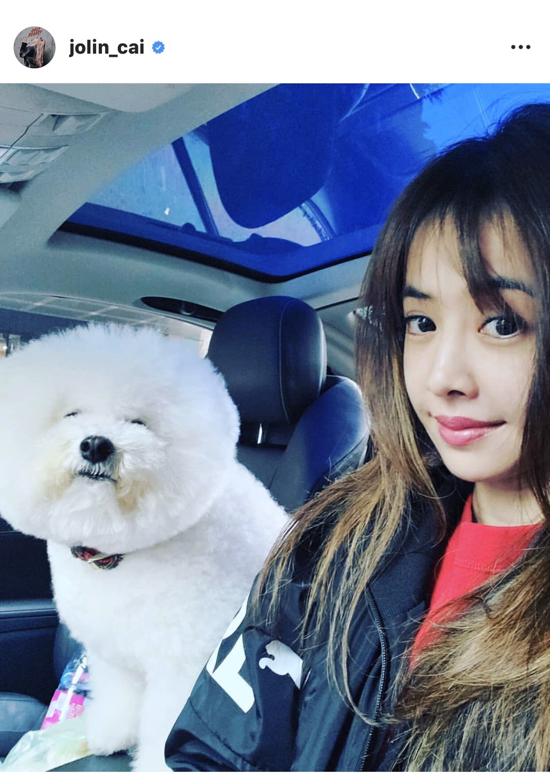 剛從韓國返台的蔡依林，回家第一件事就是開車帶屋虎外出。（摘自蔡依林ＩＧ）