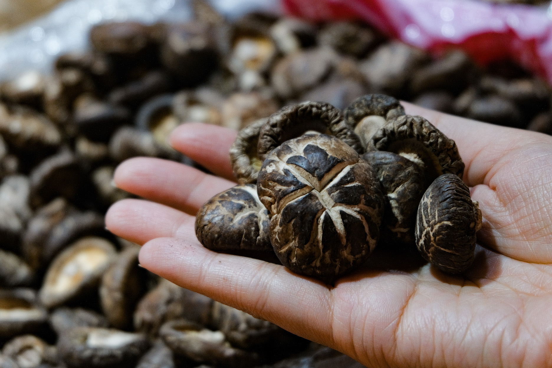 小朵但香氣飽滿的鈕釦菇是煮湯聖品。