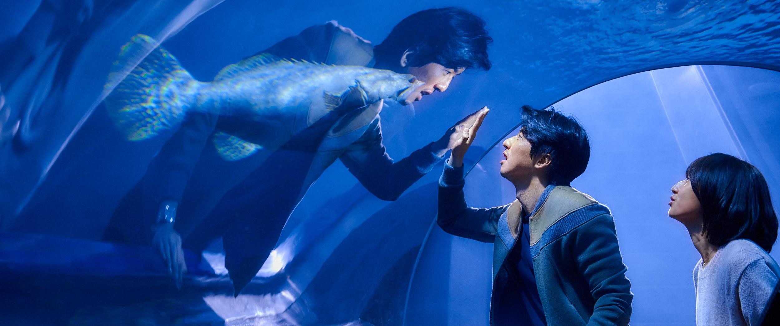 柯佳嬿（右）與傅孟柏（左）在《你的情歌》中譜出浪漫愛情故事。