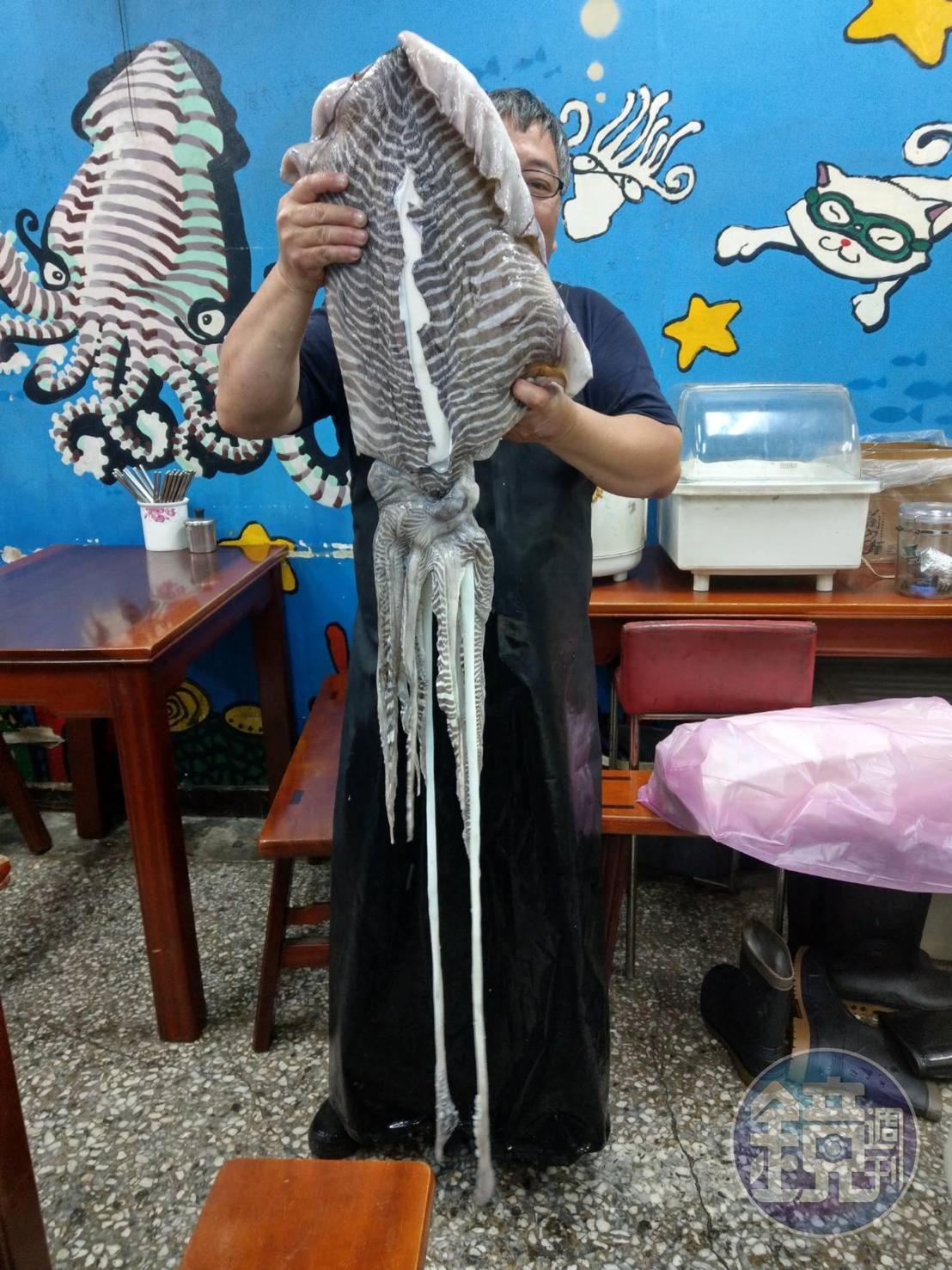 曾記花枝羹第二代老闆曾行正處理整隻生花枝,尺寸相當於一個成年男子身高。(曾行正提供)