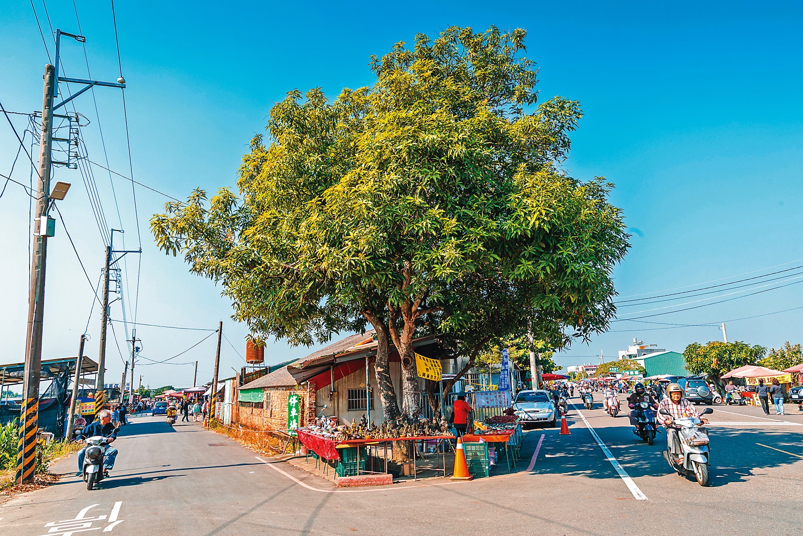善化牛墟開市時，連入口外的縣道兩旁都有小販擺攤。