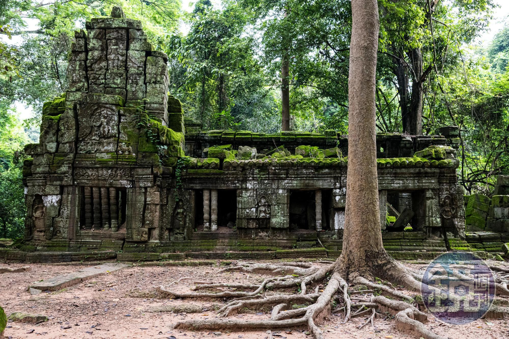 在吳哥窟遺址入口處不遠，我就看到這個景，覺得蠻適合拿來當開版大圖的，先拍下第一張。