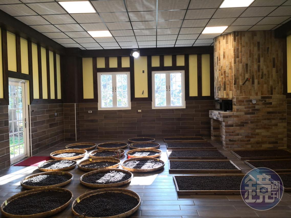 室內擺滿了正在熟成的咖啡，還設有溼度計。