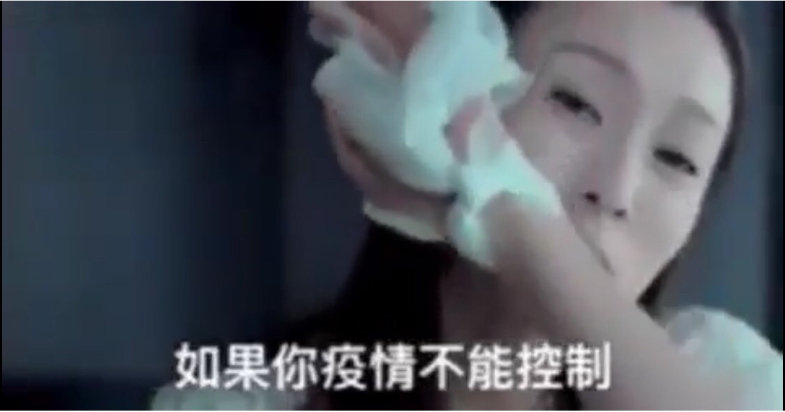 范瑋琪在私人臉書大罵蘇貞昌，用詞激烈，引發各界爭議，圖為網友自製MV截圖。（翻攝自網路）