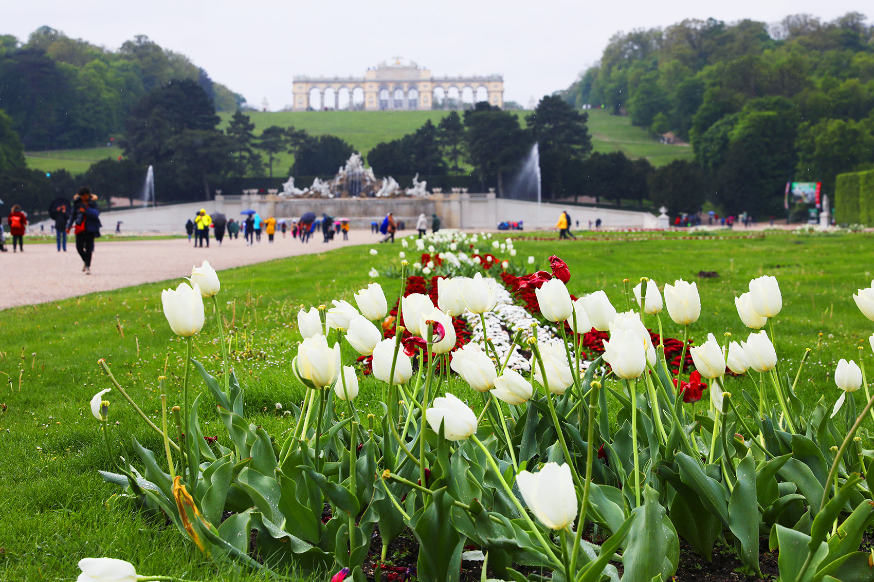 「熊布朗宮」的花園面積遼闊，遠方坡頂是觀賞整座花園的熱門去處。 