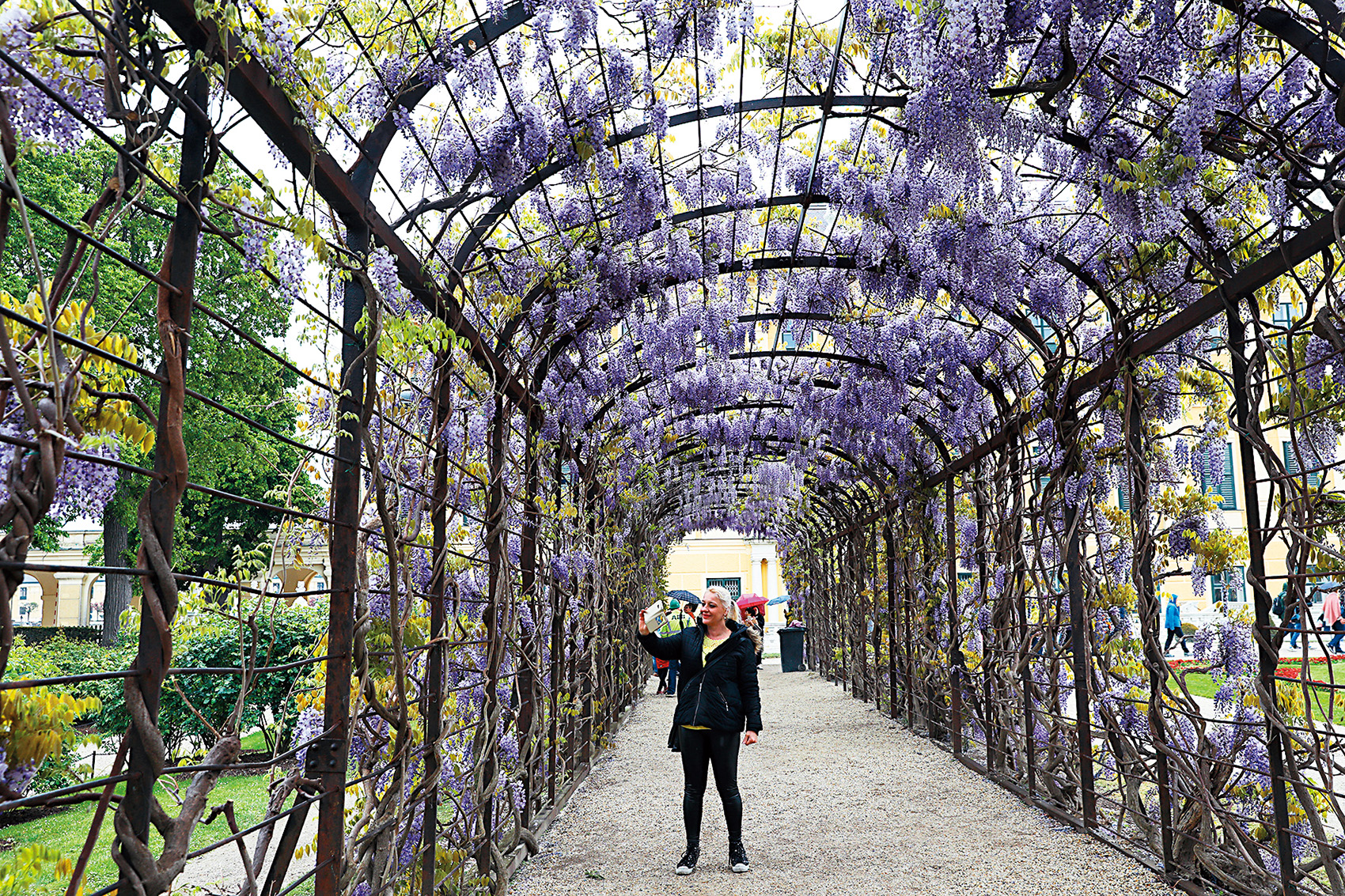 不同季節來到宮殿後方的花園，能看到四季各異的庭園風景。