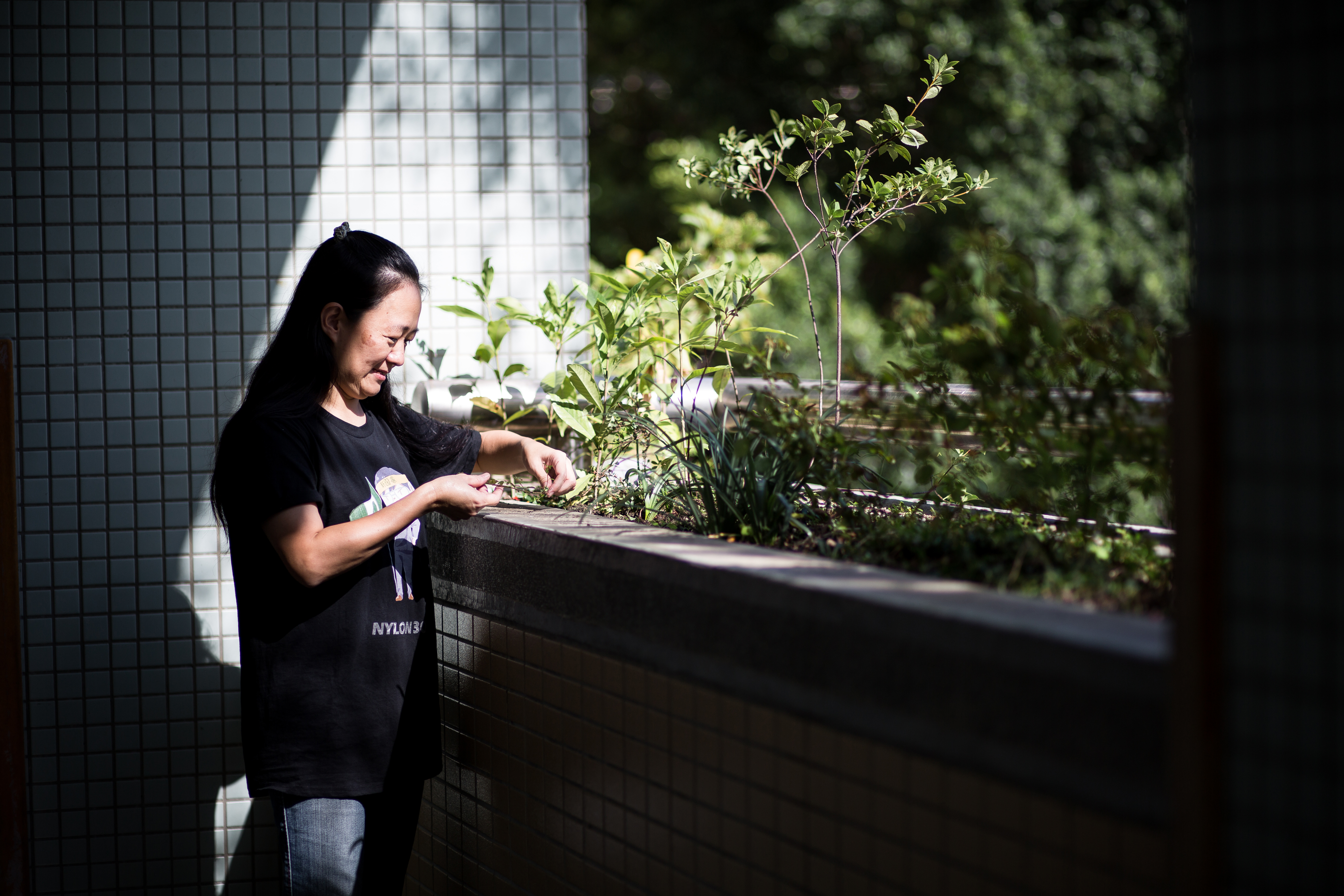 翁麗淑的班級充滿各種政治議題，小至課本，遠至教室外的花圃，都有一套「原生種」被「外來種」排擠的政治哲學。